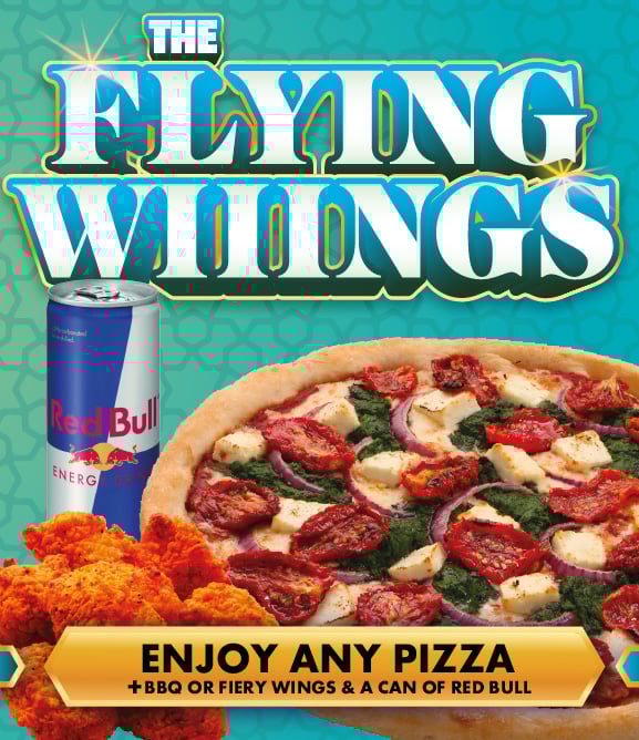 The Flying Wiiings